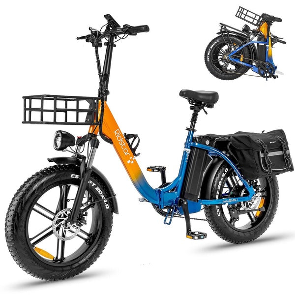Ridstar 1000W 48V 15Ah Battery 20 in Fat Tire Foldable Electric Bike for Adults