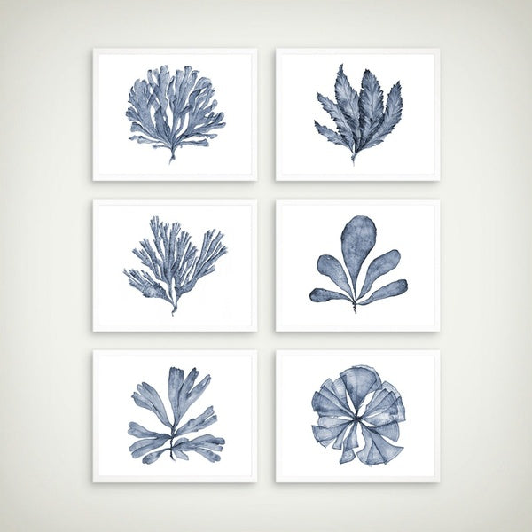 Blue Coral Sea Fan Posters and Prints Modern Watercolor Hamptons Style Art Canvas Painting Coastal Pictures Home Wall Art Decor No Frame