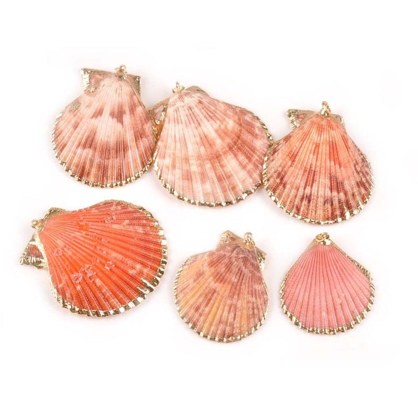 5pcs Gold Plated nautical SeaShells Natural sector shells for Home decoration DIY earring pendant charms Accessories TRS0298
