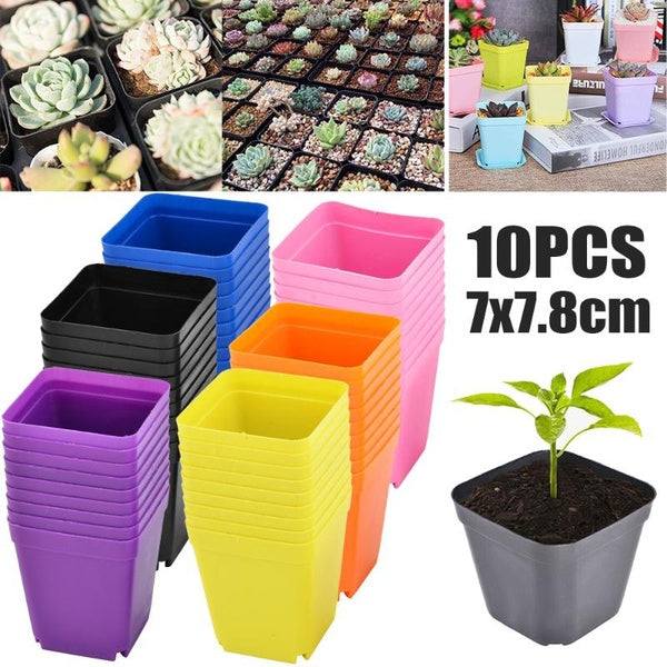 10 Pack Small 3Inch Plastic Square Nursery and Seedling Pot Container, Seed Starting Transplant Planter with Drain Hole for Succulents,vegetable, sap