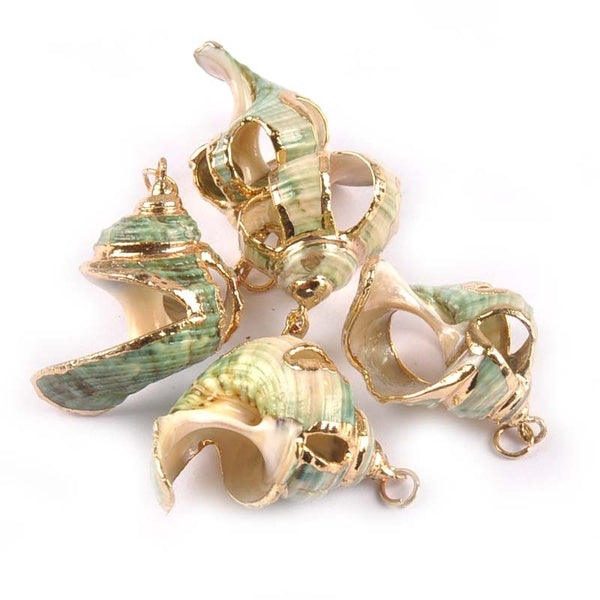 5pcs Gold Plated hollowed-out Seashells for DIY handmade pendant charms Natural Green Spiral Shell Natural Home decor TRS0262