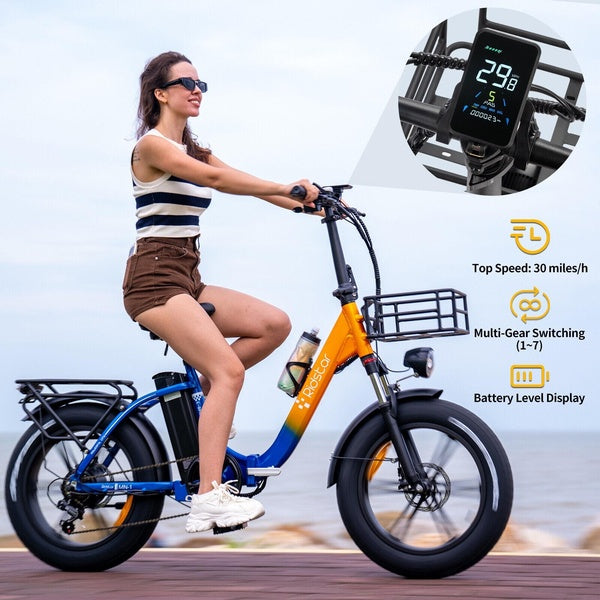 Ridstar 1000W 48V Foldable Electric Bike 20'Fat Tire 15A Removable Battery Ebike
