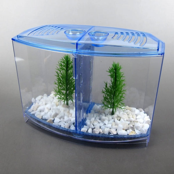 Pet - Kit d'aquarium Baird Betta avec diviseur