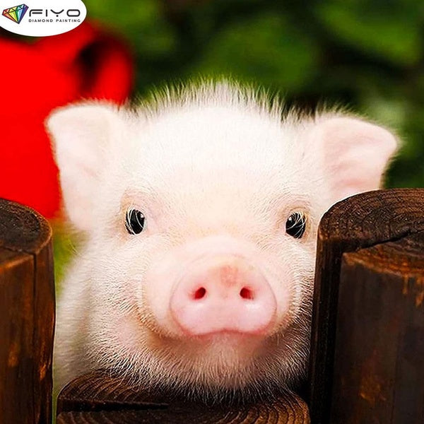 FIYO Lovely Pig Diamond Painting Kits For Adults DIY 5D Diamond Mosaic Diamond Painting Home and Kitchen Fashion Canvas Pictures Wall Decoration Gift
