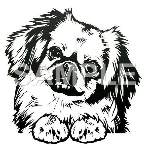 2PCS Details about Pekingese Vinyl Decal Car Truck Window Sticker