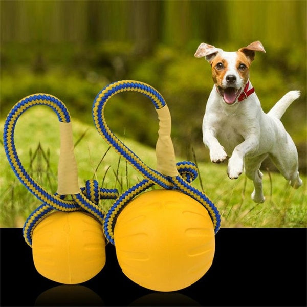 Teeth Indestructible Bite Rubber Puppy Funny Training Ball Chew Toys Play Fetch Solid With Carrier Rope Pet Dog