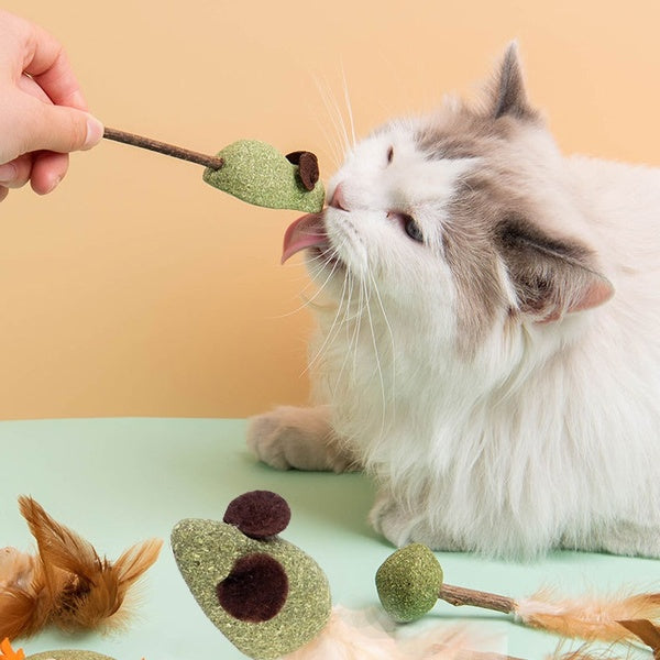 Catnip toy catnip ball Mutian Polygonum lollipop Funny cat stick cute and fun catnip mint candy Mini
