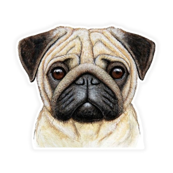 13x11.5cm Pug Colorful Car Sticker Funny Car Stickers Styling Decal