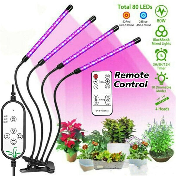 20-40-60-80 LED serre jardin hydroponique plante d'intérieur grandir lumière spectre complet croissance lumière synchronisation 3 H - 9 H - 12 H