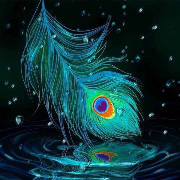 Peacock and Pattern DIY 5D Diamond Painting Full Drill with Number Kits Home and Kitchen Fashion Crystal Rhinestone Cross Stitch Embroidery Paintings