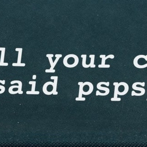 2PCS Tell Your Cat I Said Pspsps Car Vinyl Decal Sticker