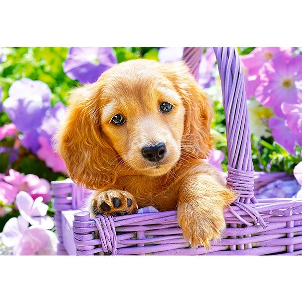 Cute Dog DIY 5D Diamond Painting by Number Kits Painting Cross Stitch Full Drill Crystal Rhinestone Embroidery Pictures Arts Craft for Home Wall Deco