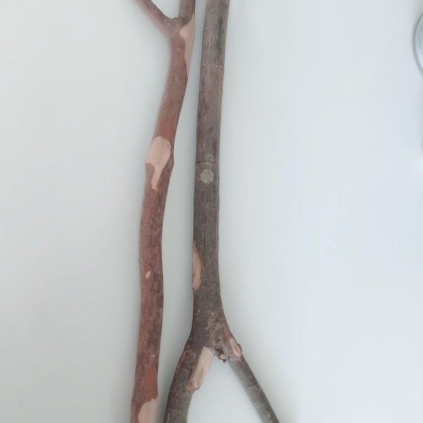 Parrot Station Rod Branch Starling-Crested Thrush Birds Station Stick Station Bar Station Frame Clean My Claws. Grands accessoires de cage