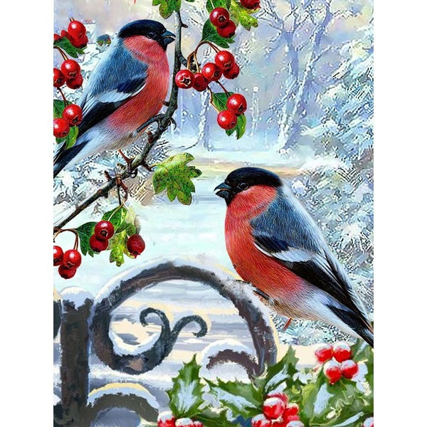 Two Birds DIY 5D Diamond Painting by Number Kits Painting Cross Stitch Full Drill Crystal Rhinestone Embroidery Pictures Arts Craft for Home Wall Dec