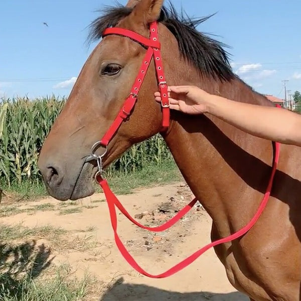 Nylon Horse Halter Horse Riding Equipment Racing Equestrianism Accessories For Horse of 1.2 Meters Shoulder Height Mahler Reins