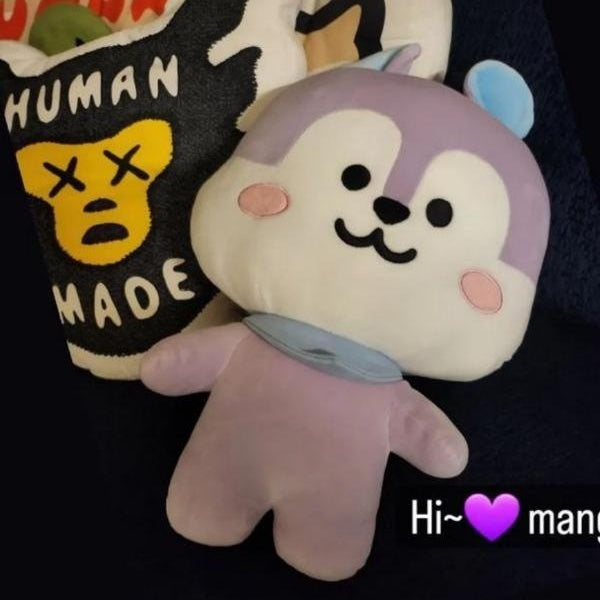 30cm Kpop 防弾少年団 Bangtang Boys J-hope Mang Pillow Cute Little Squirrel Doll Park Jimin Purple Doll Sleeping Pillow Plush Toy Gift