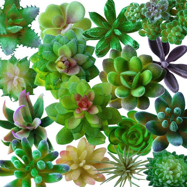 16 Pcs Artificial Succulents Plants Fake Succulent Plants Faux Succulent Assorted Unpotted Flocking Textured Aloe Stems Decorative Plants for Lotus L