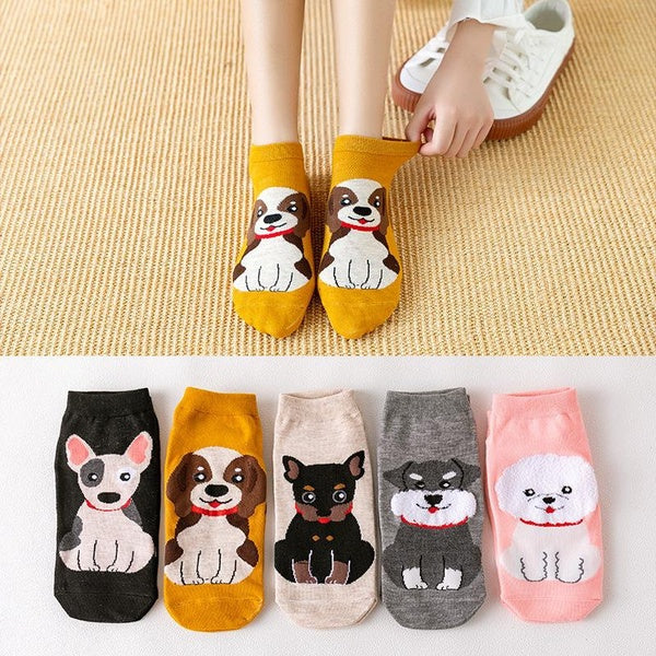 5pairs New Cartoon Dog Socks Women's Cotton Socks for Spring Summer and Autumn
