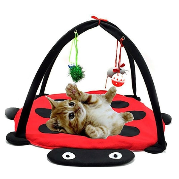 Pet Cat Bed Toys Mobile Activity Playing Mat Cats Pad Blanket House Dogs Furniture Tent