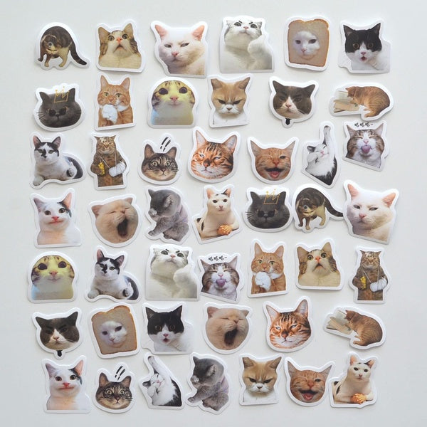 Lot de 46 autocollants mignons à motifs de chats pour scrapbooking, décoration de journal intime