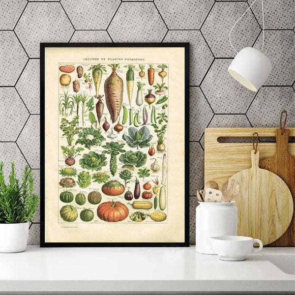 French Language Larousse Prints Lithograph Book Plate Vegetables Vintage Poster Rustic Kitchen Wall Art Canvas Painting Decor No Frame