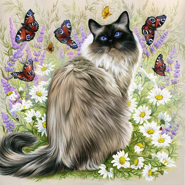 DIY 5D Cat butterfly Pattern Round-Square Diamond Painting Full Drill Diamond Painting with Number Kits Home and Kitchen Fashion Crystal Rhinestone C