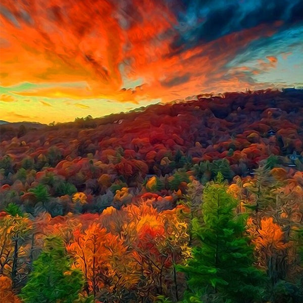 DIY 5D Sunset Forest Landscape Diamond Painting Full Drill with Number Kits Home and Kitchen Fashion Crystal Rhinestone Cross Stitch Embroidery Paint