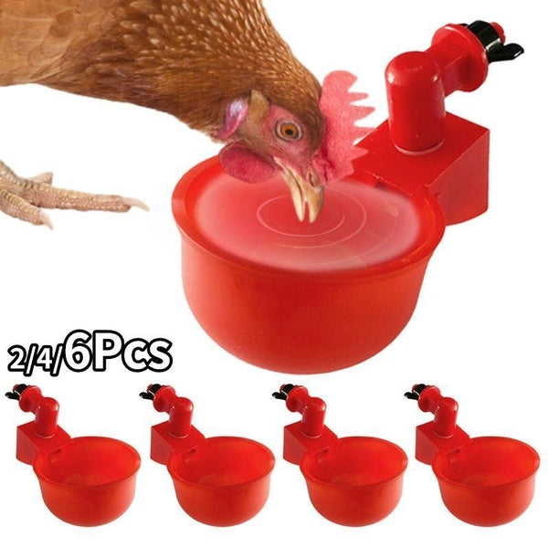 Automatic Chicken Watering Cups 2-4-6Pcs Plastic Poultry Waterer Cups Hanging Backyards Poultry Coop Feeder Water Drinking Cups