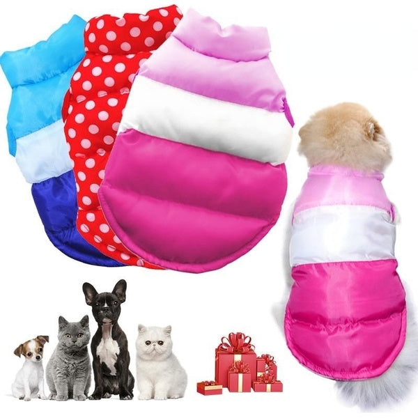 Gilet pour chien, design tendance avec blocage des couleurs, gilet chaud pour chien, résistant à l'eau, pull pour petit chien, vêtements pour animaux