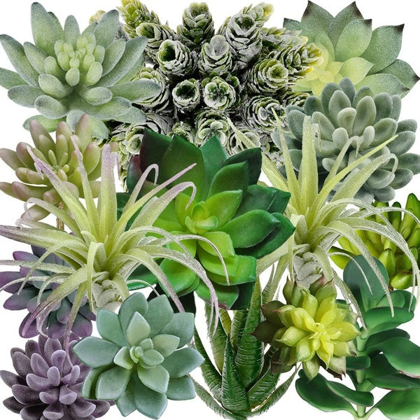 15 Pack Assorted Artificial Succulents Plants Fake Succulents Plants Unpotted Fake Cactus Textured Aloe for Floral Arrangement Wedding Party Accents