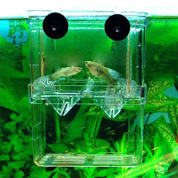 Boîte d'isolement de poisson d'aquarium en acrylique transparent incubateur de boîte à poisson auto-flottant pour poissons d'élevage'séparés