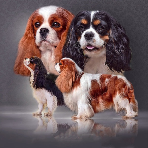 DIY 5D Diamond Painting Dog Full Drill with Number Kits Home Decor Wall Painting The Gift Arts and Crafts for Adults,Teenagers,The Old