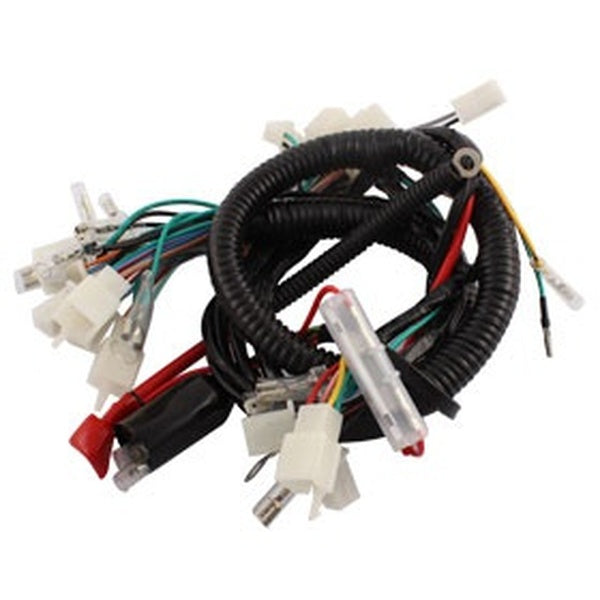 Motorcycle Ultima Complete System Electrical Main Wiring Harness for CG125