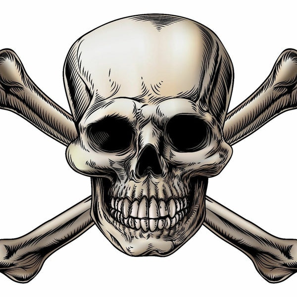 SKULL CROSSBONES VINYL DECAL STICKER TRUCK WINDOW BUMPER WALL CAR