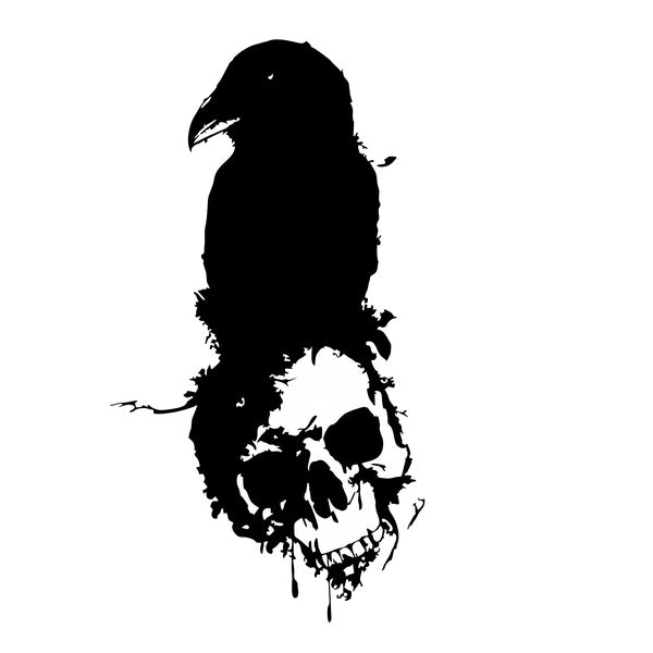 2PCS 20cm Raven and Skull Ravens Decal Vinyl Car Stickers Decal Decor Home Decoration Car Sticker