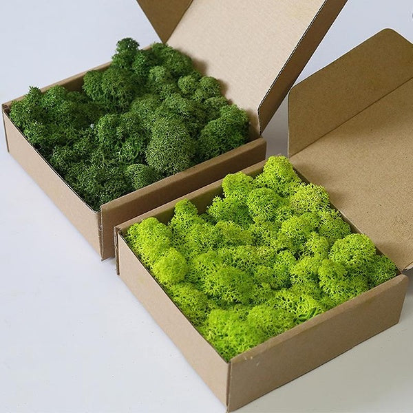 100-200-500g Artificial Grass Green Immortal Moss Plants Fake Flower DIY Decor for Home Handscape Plants Wall Garden