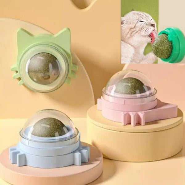 The Catnip Cat Wall Stick-on Ball Toy Scratchers Treats Healthy Natural Removes Balls to Promote Digestion Cat Grass Snack