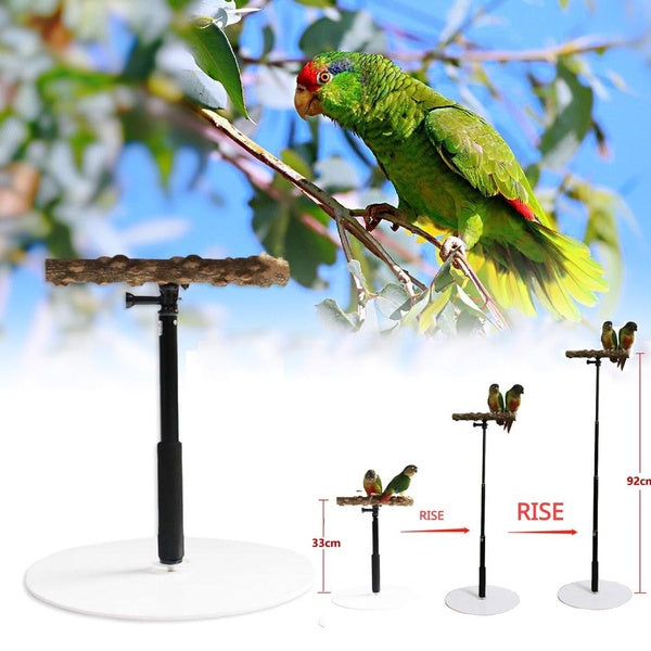 Support en T Portable pour perroquet, entraînement au repos avec Cage de Base, perche pour pinsons, Conures, calopsittes, accessoires pour Cage à ois