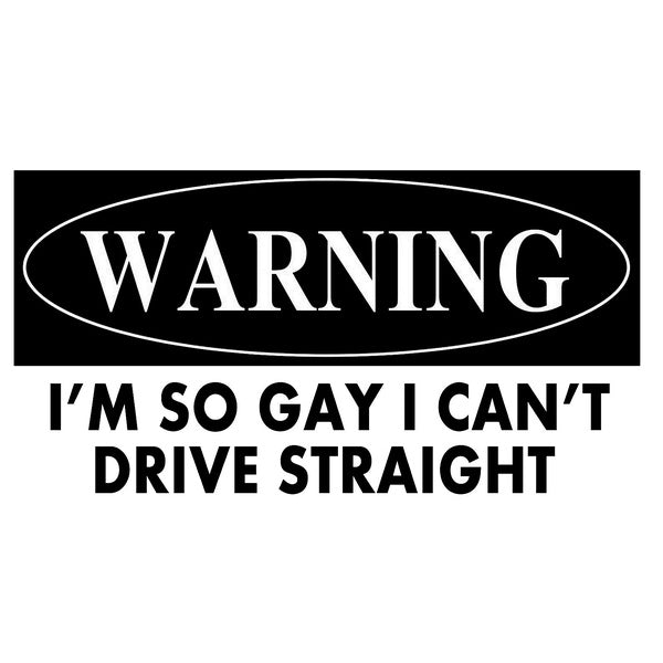 2PCS I'm So Gay I Can't Drive Straight Sticker - Multisurface Vinyl Decal - Durable and Waterproof Funny Gay Pride Sticker