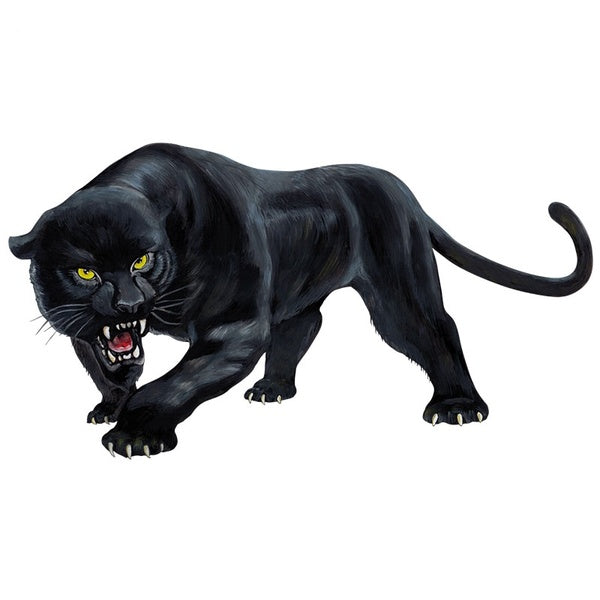 15X8cm Animal Sticker Black Panther Roaring Colorful Funny Car Stickers and Decals Auto Styling Window Door Bumper Decals