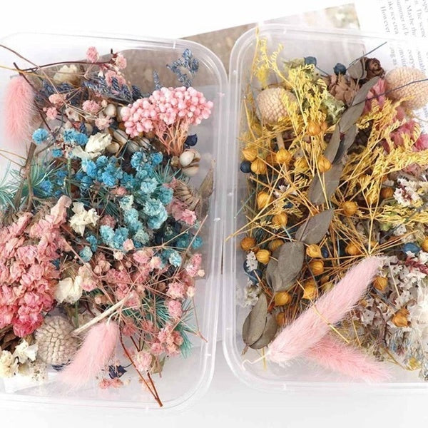 A Box of Natural Dried Flowers DIY Mixed Color Random Flower Set Box Immortal Dried Flower Plant Photo Frame Home Craft Accessories