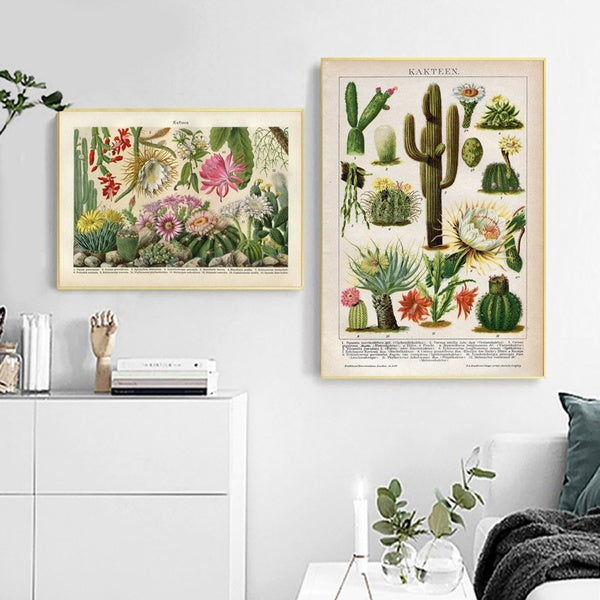Cactus Flowers Desert Plants Succulents Posters and Prints Botanical Wall Art Canvas Painting Educational Wall Pictures Decor No Frame