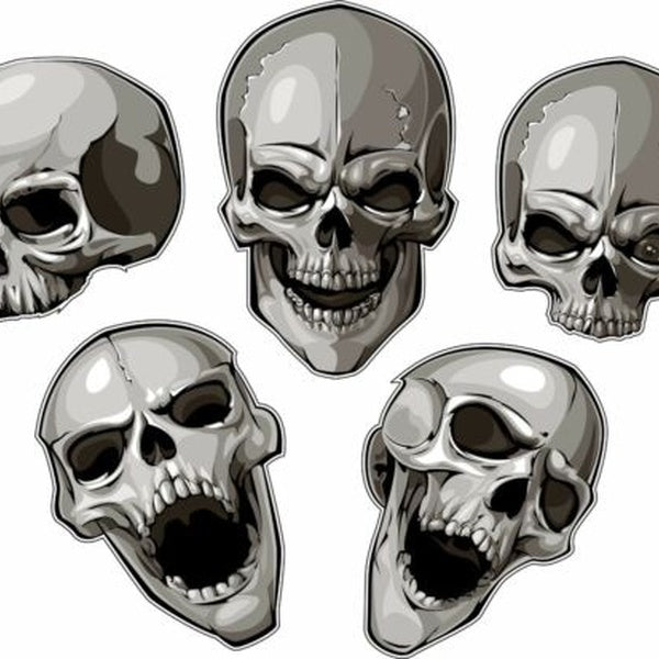 5 Skulls Tool Box Bumper Sticker Vinyl Decal