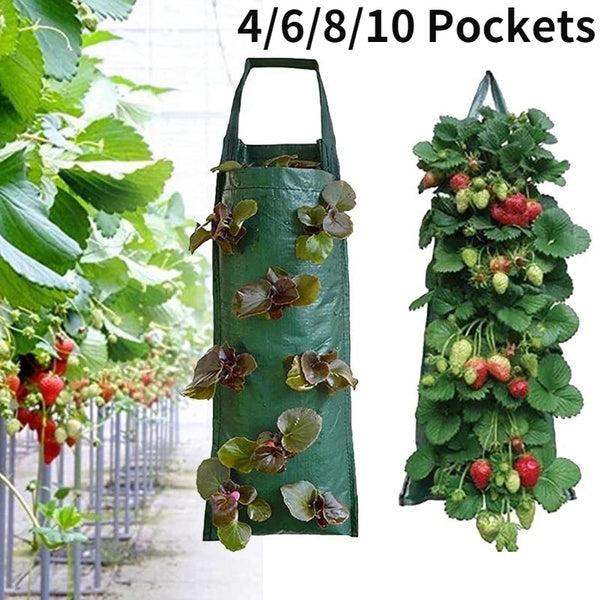 4-6-8-10 poches sacs de plantation tenture murale jardin Vertical fraise planter sacs planteur Pot pomme de terre pour légumes herbes fleur