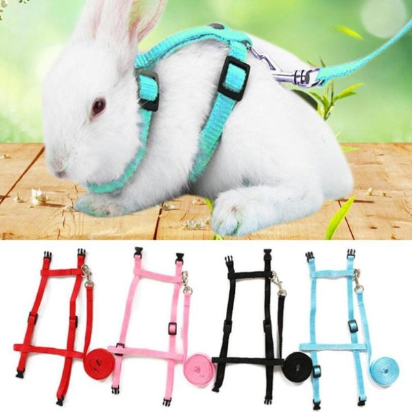 Pet Guinea Pig Rabbit Harness Collars Soft Pet Supplies Lightweight Lead Rope Buckle Leashes