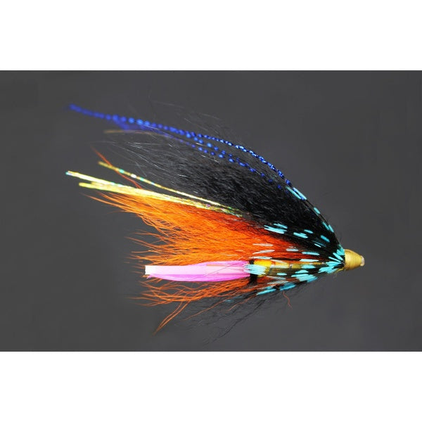 Tigofly 24 pcs-lot beau tube de tête de cône de plume bleu et noir Fly Streamer mouche saumon truite Steelhead pêche à la mouche mouches leurres