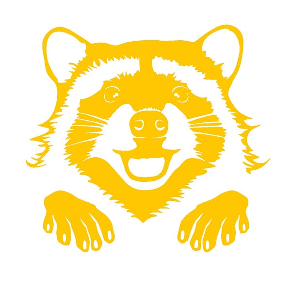 17CM Curious Raccoon Face Paws Racoon Peeking Cute Laser Colorful Silver Decal Vinyl Car Sticker