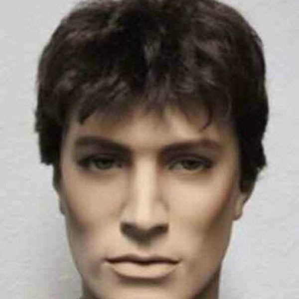 Beautiful short brown health Hair men's wig wigs