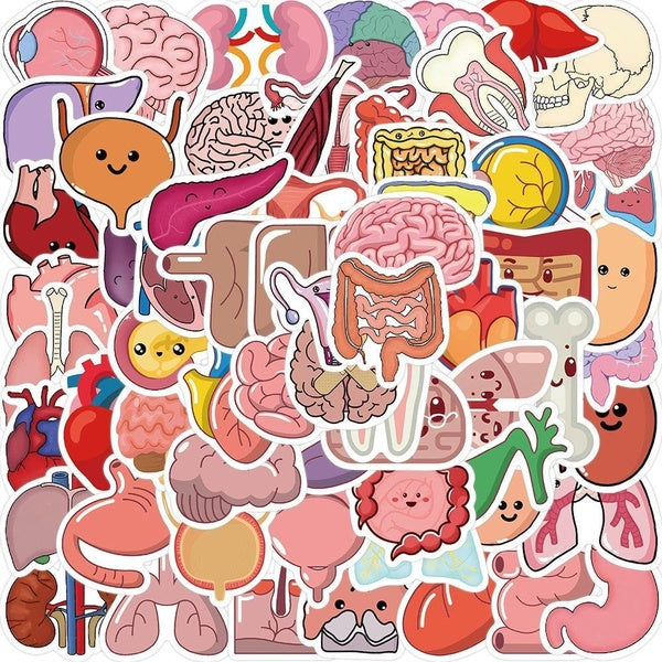 10-50Pcs Cartoon Human Organ Stickers Human Tissue Graffiti Kids Toy Skateboard Car Motorcycle Bicycle Sticker Decals