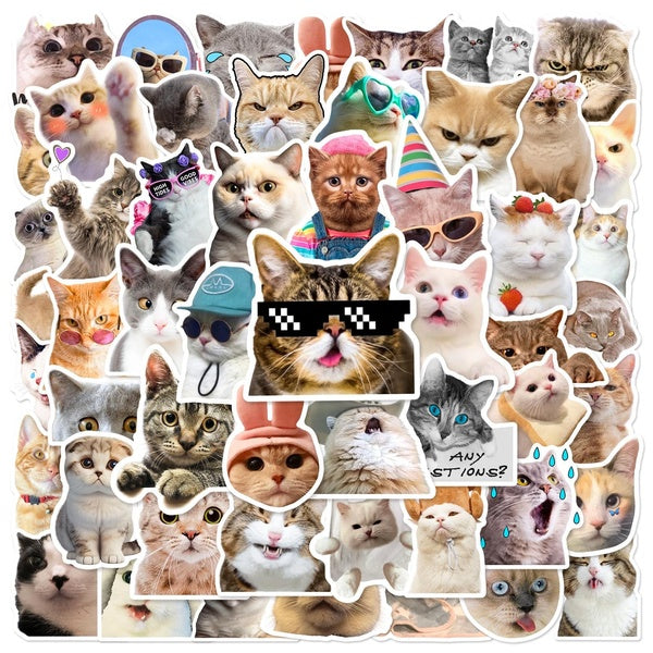10-50pcs Funny Cat Meme Graffiti Stickers for DIY Luggage Laptop Skateboard Motorcycle Bicycle Stickers